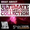 WA Production What About Ultimate MIDI and Melodies Collection (WAV MiDi) - сэмплы EDM, Progressive, House WA Production What About Ultimate MIDI and Melodies Collection (WAV MiDi) - сэмплы EDM, Progressive, House
