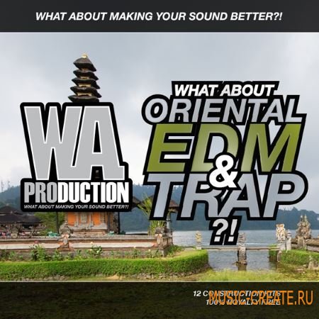 WA Production - What About Oriental EDM and Trap (WAV MiDi) - сэмплы EDM, Trap