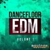 Equinox Sounds - Dancefloor EDM Vol 1 (WAV MIDI) - сэмплы Progressive House, EDM