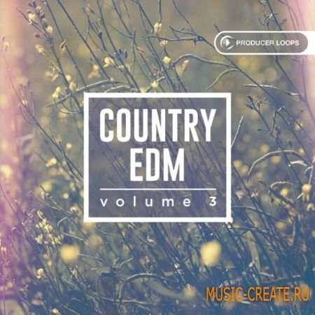 Producer Loops - Country EDM Vol.3 (MULTiFORMAT) - сэмплы EDM