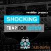 Vandalism - Shocking Trap For XFER RECORDS SERUM (FXP) Vandalism - Shocking Trap For XFER RECORDS SERUM (FXP)