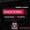 Vandalism - Shocking Future Bass For SYLENTH1 (Sylenth1 Presets)