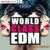 Function Loops World Class EDM (WAV MiDi SPF FXP) - сэмплы EDM Function Loops World Class EDM (WAV MiDi SPF FXP) - сэмплы EDM