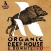 Artisan Audio - Organic Deep House and Downtempo (WAV) - сэмплы Deep House, Downtempo Artisan Audio - Organic Deep House and Downtempo (WAV) - сэмплы Deep House, Downtempo
