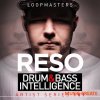 Loopmasters - Reso - Drum and Bass Intelligence (MULTiFORMAT) - сэмплы Drum and Bass