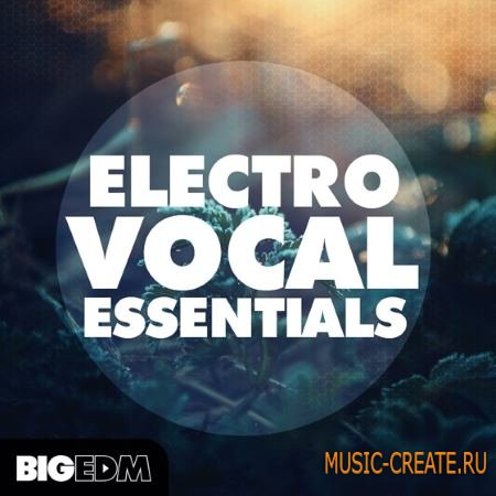 Big EDM - Electro Vocal Essentials (WAV MiDi FLPs TUTORiAL) - вокальные сэмплы Big EDM - Electro Vocal Essentials (WAV MiDi FLPs TUTORiAL) - вокальные сэмплы