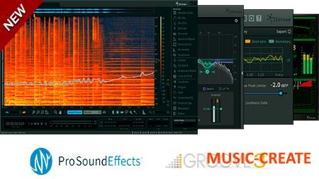 iZotope - RX Post Production Suite 1.00 patched WiN X86 X64 (NO iLOK) - плагины для восстановления, редактирования аудио и миксинга iZotope - RX Post Production Suite 1.00 patched WiN X86 X64 (NO iLOK) - плагины для восстановления, редактирования аудио и миксинга