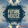 Loopmasters - Future House (MULTiFORMAT) - сэмплы Future House
