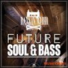 Rankin Audio - Future Soul and Bass (WAV MiDi) - сэмплы Future Bass Rankin Audio - Future Soul and Bass (WAV MiDi) - сэмплы Future Bass