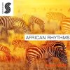 Samplephonics - African Rhythms (MULTiFORMAT) - перкуссионные сэмплы Samplephonics - African Rhythms (MULTiFORMAT) - перкуссионные сэмплы