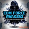 Singomakers - EDM Force Awakens (MULTiFORMAT) - сэмплы EDM