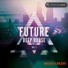 Producer Loops - Future Deep House Vol 2 (MULTiFORMAT) - сэмплы Future Deep House Producer Loops - Future Deep House Vol 2 (MULTiFORMAT) - сэмплы Future Deep House