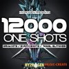 Hy2rogen - 12000 One-Shots (MULTiFORMAT) - ван-шоты EDM Hy2rogen - 12000 One-Shots (MULTiFORMAT) - ван-шоты EDM
