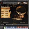 Aviram Dayan Production - Aviram Music Box 1.0 (KONTAKT) - библиотека звуков различных инструментов Aviram Dayan Production - Aviram Music Box 1.0 (KONTAKT) - библиотека звуков различных инструментов