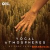 Black Octopus Sound Vocal Atmospheres By Cory Friesenhan (WAV) - вокальные сэмплы