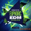 Loopmasters - Euphoric EDM (MULTiFORMAT) - сэмплы EDM Loopmasters - Euphoric EDM (MULTiFORMAT) - сэмплы EDM