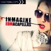 Function Loops Inmagine EDM Acapellas (WAV MiDi) - акапеллы Function Loops Inmagine EDM Acapellas (WAV MiDi) - акапеллы