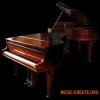 Imperfect Samples - Steinway Walnut Concert Grand Pro (KONTAKT) - библиотека звуков рояля