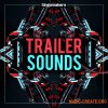 Singomakers - Trailer Sounds (WAV MiDi) - кинематографические сэмплы Singomakers - Trailer Sounds (WAV MiDi) - кинематографические сэмплы