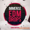 Mainroom Warehouse - Immense EDM Drops Songstarters (WAV MiDi) - сэмплы EDM Mainroom Warehouse - Immense EDM Drops Songstarters (WAV MiDi) - сэмплы EDM