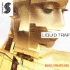 Samplephonics - Liquid Trap (MULTiFORMAT) - сэмплы Trap Samplephonics - Liquid Trap (MULTiFORMAT) - сэмплы Trap
