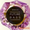 Skifonix Sounds - Future Bass (WAV MiDi Ni Massive Presets) - сэмплы Future Bass Skifonix Sounds - Future Bass (WAV MiDi Ni Massive Presets) - сэмплы Future Bass