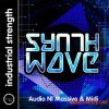Industrial Strength - Synth Wave (WAV MiDi Ni Massive and Battery 4) - сэмплы ретро синтезаторов Industrial Strength - Synth Wave (WAV MiDi Ni Massive and Battery 4) - сэмплы ретро синтезаторов