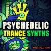 Function Loops Psychedelic Trance Synths (WAV) - сэмплы Trance