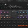 iZotope - VocalSynth v1.00b (Team R2R) - вокальный эффект плагин