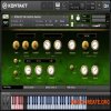 Replika Sound - RSGL02 V6 Electric Guitar (KONTAKT) - библиотека электрической гитары Replika Sound - RSGL02 V6 Electric Guitar (KONTAKT) - библиотека электрической гитары
