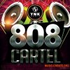 YnK Audio - 808 Cartel (WAV MiDi FLP) - сэмплы Trap