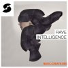 Samplephonics - Rave Intelligence (MULTiFORMAT) - сэмплы Ambient, Garage Samplephonics - Rave Intelligence (MULTiFORMAT) - сэмплы Ambient, Garage