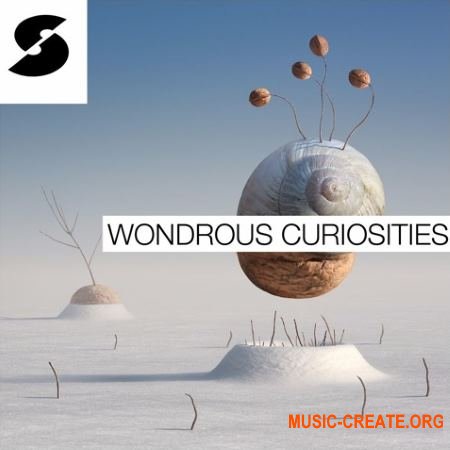 Samplephonics - Wondrous Curiosities (MULTiFORMAT) - сэмплы Electronic Samplephonics - Wondrous Curiosities (MULTiFORMAT) - сэмплы Electronic