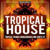 Singomakers - Tropical House Sessions (WAV MiDi) - сэмплы Tropical House Singomakers - Tropical House Sessions (WAV MiDi) - сэмплы Tropical House