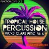Function Loops Tropical House Percussion (WAV) - сэмплы Tropical House Function Loops Tropical House Percussion (WAV) - сэмплы Tropical House