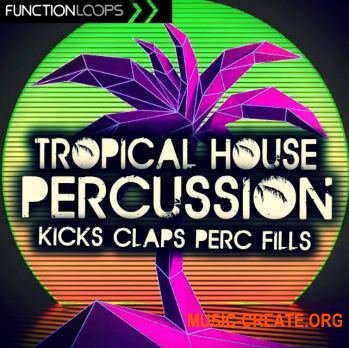 Function Loops - Tropical House Percussion (WAV) - сэмплы Tropical House