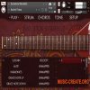 Orange Tree Samples Evolution Sitardelic 1.3.0 (KONTAKT)