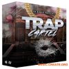YC Audio - Trap Cartel (WAV MiDi) - сэмплы Trap
