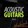 Blackwood Samples - Acoustic Guitars 5 (WAV) - сэмплы акустической гитары Blackwood Samples - Acoustic Guitars 5 (WAV) - сэмплы акустической гитары