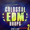 Mainroom Warehouse Colossal EDM Drops 2 (Spire presets / MIDI)