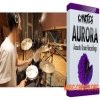 Cymatics AURORA Acoustic Drum Recordings (WAV) - сэмплы акустических барабанов Cymatics AURORA Acoustic Drum Recordings (WAV) - сэмплы акустических барабанов