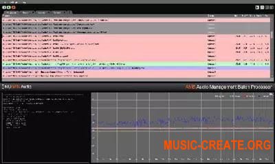NuGen Audio - AMB v1.0.2.6 UNLOCKED (Team R2R) - процессор аудио менеджмент