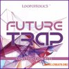 Loopoholics Future Trap Construction Kits (WAV MIDI) - сэмплы Future Trap Loopoholics Future Trap Construction Kits (WAV MIDI) - сэмплы Future Trap