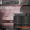 Zero-G ETHERA Soul Edition (KONTAKT) - библиотека вокала Zero-G ETHERA Soul Edition (KONTAKT) - библиотека вокала