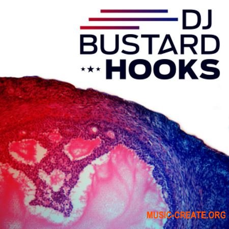 Diginoiz Dj Bustard Hooks (WAV MiDi) - сэмплы Urban, Hip Hop