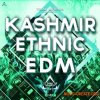 Triad Sounds KASHMIR ETHNIC EDM (WAV MiDi SYLENTH1) - сэмплы EDM Triad Sounds KASHMIR ETHNIC EDM (WAV MiDi SYLENTH1) - сэмплы EDM