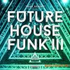 Triad Sounds Future House Funk III (WAV MiDi) - сэмплы Future House, House Triad Sounds Future House Funk III (WAV MiDi) - сэмплы Future House, House