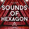 Triad Sounds Sounds Of Hexagon (WAV MiDi) - сэмплы House, EDM, Electro House Triad Sounds Sounds Of Hexagon (WAV MiDi) - сэмплы House, EDM, Electro House