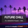 Production Music Live Massive Presets Vol.2 Future Chill (Massive presets) Production Music Live Massive Presets Vol.2 Future Chill (Massive presets)