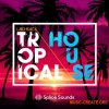Splice Sound Laid-back Tropical House (MULTIFORMAT) - сэмплы Tropical House, Deep House